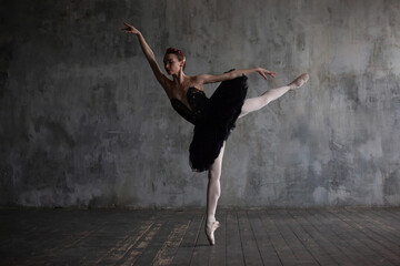 Ballerina performing the black swan dance from the ballet Swan Lake.
