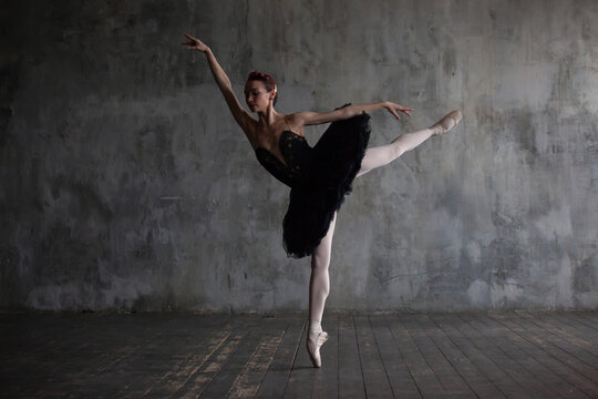 Ballerina performing the black swan dance from the ballet Swan Lake.