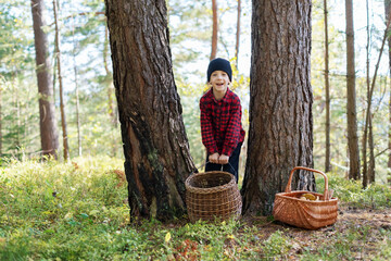Small kid with basket collecting mushrooms in autumn forest. Childhood with nature loving concept