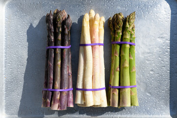 Purple, white and green asparagus sprouts on metal board closeup. Top view flat lay. Food photography