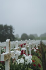 White crosses in a cemetery with red poppies and white daisies. D-Day Anniversary