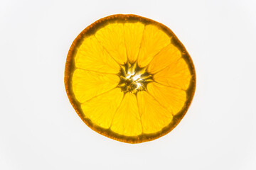 Aufgeschnittene gelbe Orangen, von hinten beleuchtet