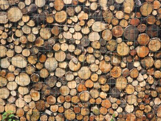 stack of firewood