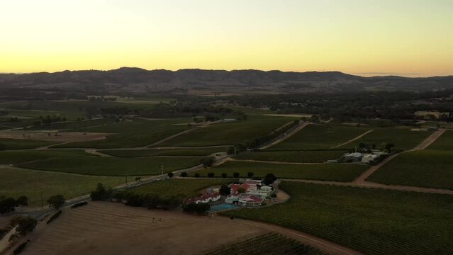 Barossa Valley landscape in aerial flying over vineyards and wine making farm 4k.
