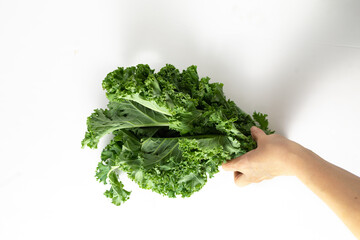 A bunch of fresh kale leaves on a white background.