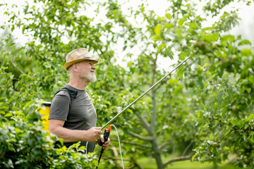 Middle age gardener with a mist fogger sprayer sprays fungicide and pesticide on bushes and trees. Protection of cultivated plants from insects and fungal infections.