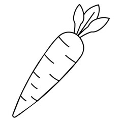 hand drawn vector illustration of a Carrot