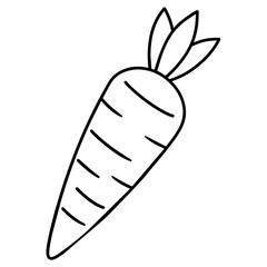 sketch of a carrot