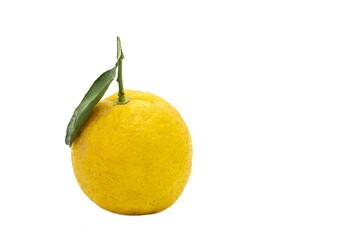 Ripe Lemon with Leaf Isolated on White Background with Copy Space