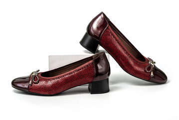 Studio photo of brown female loafers with low heel. Slip on female leather brown shoes on white...