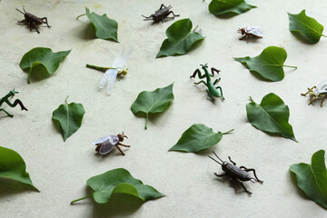 Green leaves and toy insect on old paper background. Flat lay.