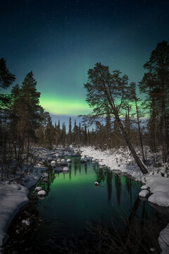 View of snowy woodland and lake under northern lights, Murmansk Oblast, Russia.