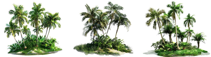 Fototapeta na wymiar Tropical Plants and Palm Trees on Grassy Island: PNG Images