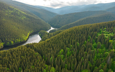 Drone view above the calm waters of a lake washing the shores of a spruce forest. The mountainsides...