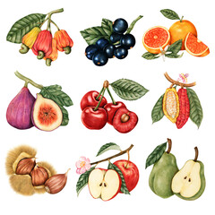 Hand drawn fruit sticker design element set