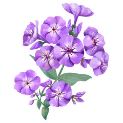 Purple flower sticker png, watercolor & botanical illustration, transparent background