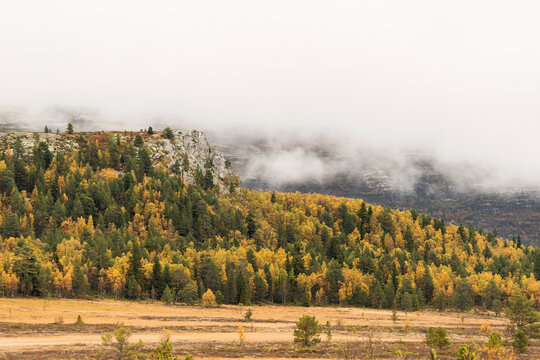 View of Mountains with trees in autumn colours and low clouds, Rondane, Innlandet, Norway.