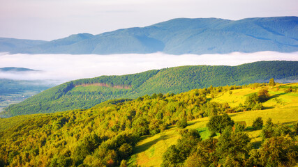 carpathian countryside scenery on a sunny morning in summer. mountainous landscape of ukraine with distant rural valley in fog - 788204336