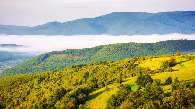 carpathian countryside scenery on a sunny morning in summer. mountainous landscape of ukraine with distant rural valley in fog