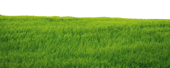 Grass field png border, transparent background