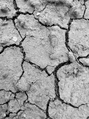 Black and White Desert Cracked Ground with copy space. Climate change concept. Dry Ground Texture Background. Vertical photo can used social media poster, banner, card, postcard template.