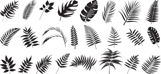 Ferns and Palm Leaves Vector Set: Black Color, Flat Design