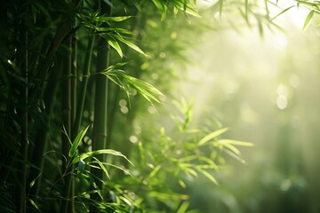 A detailed view of a bamboo plant with the sun shining through the interwoven leaves, casting...