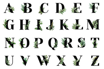 Botanical alphabet font png collection abc
