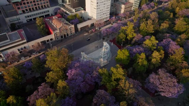 Aerial view of Hemiciclo a Juarez with jacaranda trees in Mexico City, Mexico.
