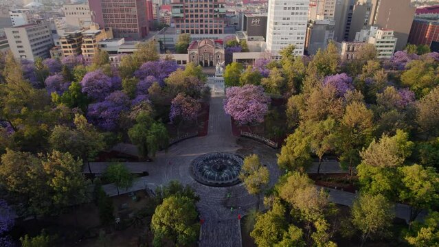 Aerial view of Hemiciclo a Juarez with jacaranda trees in Mexico City, Mexico.