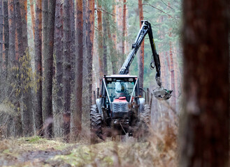 Loading wood in the forest using a tractor with a special grab