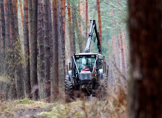 Loading wood in the forest using a tractor with a special grab