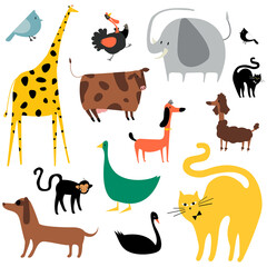 Png zoo animals social media story sticker set