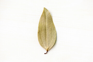 Dried bay leaf (Laurus nobilis) isolated on a white background. It is also known as Tejpata, Cassia leaves, Cinnamomum tamala, Indian bay leaf, Indian bark, Malabar leaf, Bay laurel, etc. - obrazy, fototapety, plakaty