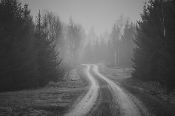 road in fog