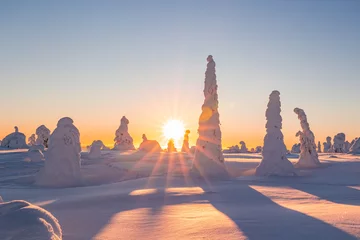 Foto op Plexiglas winter landscape © Artem