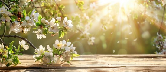 White blossoms and sunbeams in front of a wooden table set against a spring background. - obrazy, fototapety, plakaty