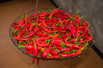 A cage of red peppers being dried