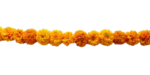 marigold garland png