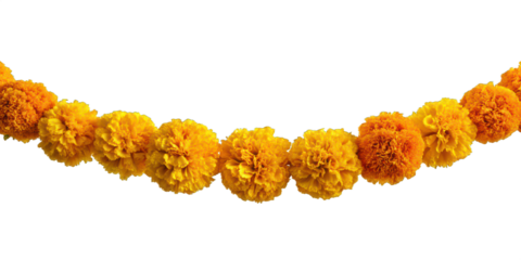 marigold garland png