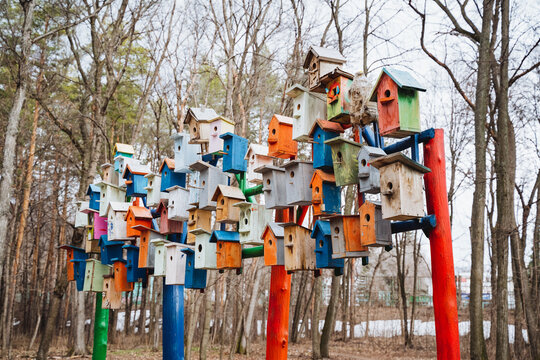 Colorful bird houses stacked in forest a unique art display