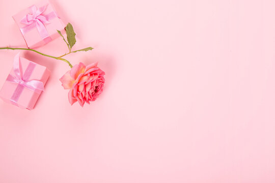 Festive pink flower rose, gifts composition on white background. Overhead view