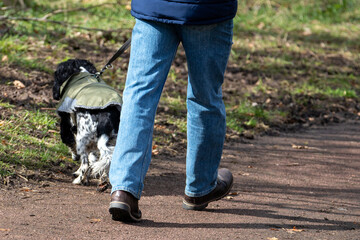 Benefits of Dog Walking. Studies show that walking just 15 minutes a day can help lower your blood...