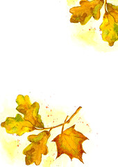Watercolor bright leaves of oak and maple - 788236723