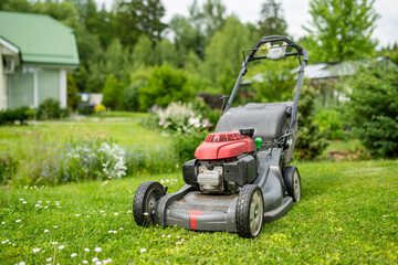 Mowing grass with electric lawn mower in a backyard. Gardening care tools and equipment. Process of lawn trimming with lawnmower.