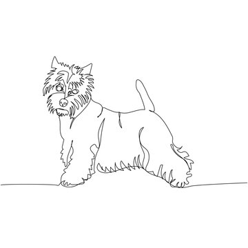 West Highland White Terrier, Westie, Scottish dog breed, companion dog, hunting dog one line art. Continuous line drawing of friend, dog, doggy, friendship, care, pet, animal, family, canine.