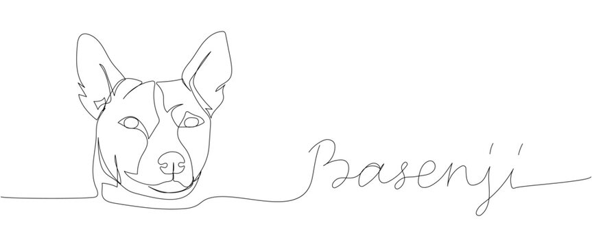 basenji, Zande dog, bongo terrier, hunting dog one line art. Continuous line drawing of friend, dog, friendship, care, pet, animal, family, canine with inscription, lettering, handwritten.