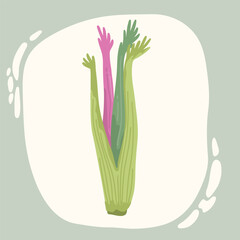 Flat illustration natural celery. Natural icon.