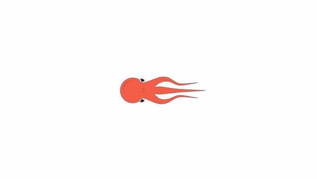 Cute octopus swimming line 2D character animation. Marine fauna researching. Wild underwater life flat color cartoon 4K video, alpha channel. Deep ocean mollusk animated animal on white background