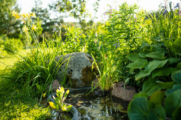 Small artificial pond on sunny summer day in the garden. Beautifully designed garden pond...